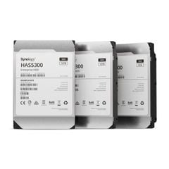  Ổ cứng HDD Synology HAS5320 24TB (HAS5320-24T) 3.5 inch SAS 12 Gb/s 