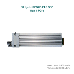  Ổ cứng SK Hynix PE8110 1.92TB E1.S SSD PCIe 4.0 