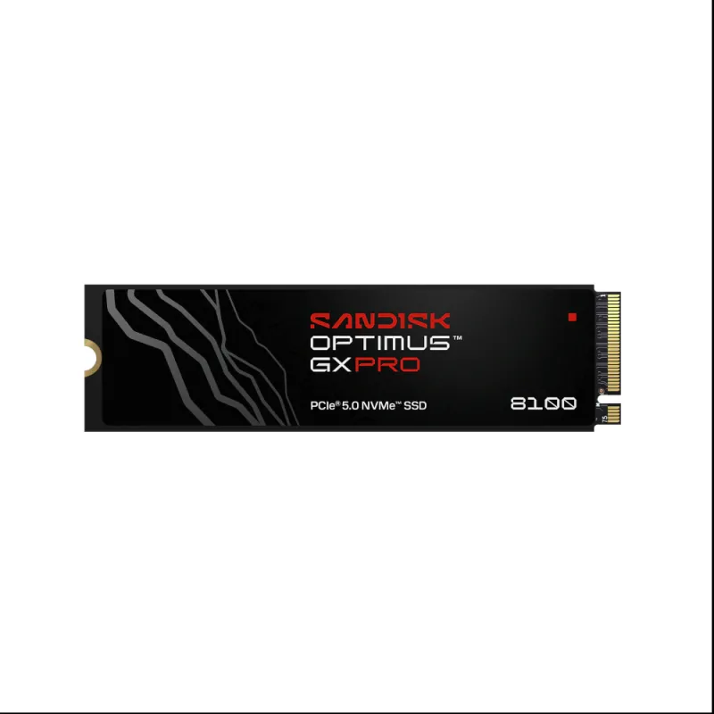 Ảnh minh họa Ổ cứng SSD SANDISK Optimus GX PRO 8100 4TB (SDSP82400TAN) – PCIe Gen5x4 1