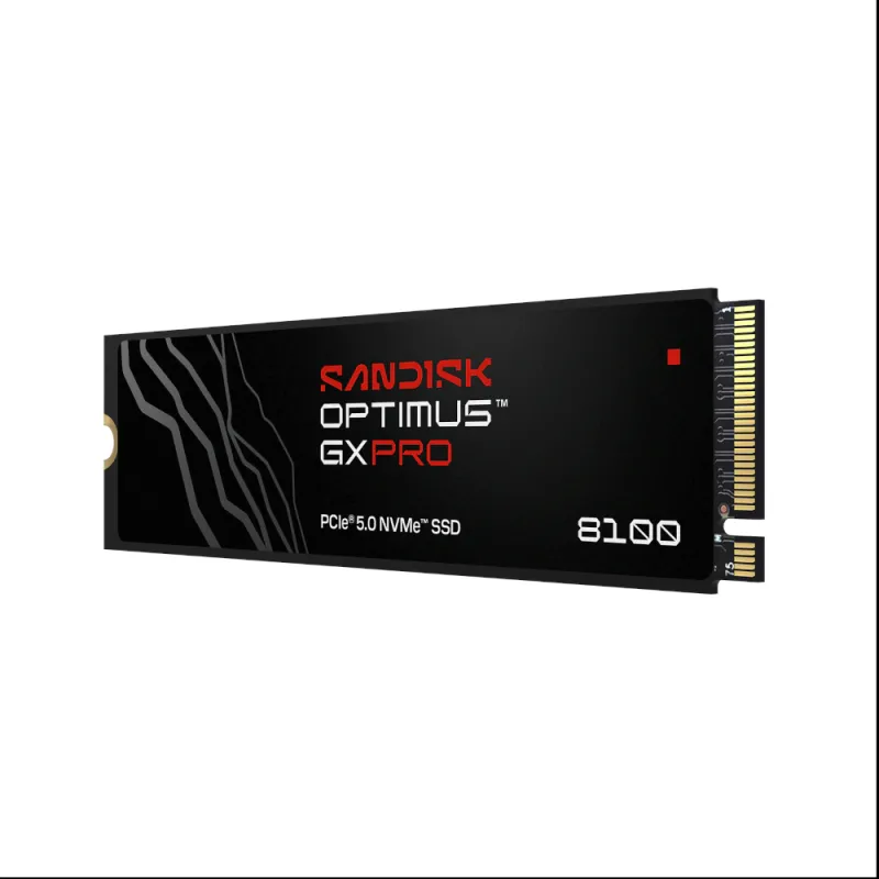 Ảnh minh họa Ổ cứng SSD SANDISK Optimus GX PRO 8100 4TB (SDSP82400TAN) – PCIe Gen5x4 2