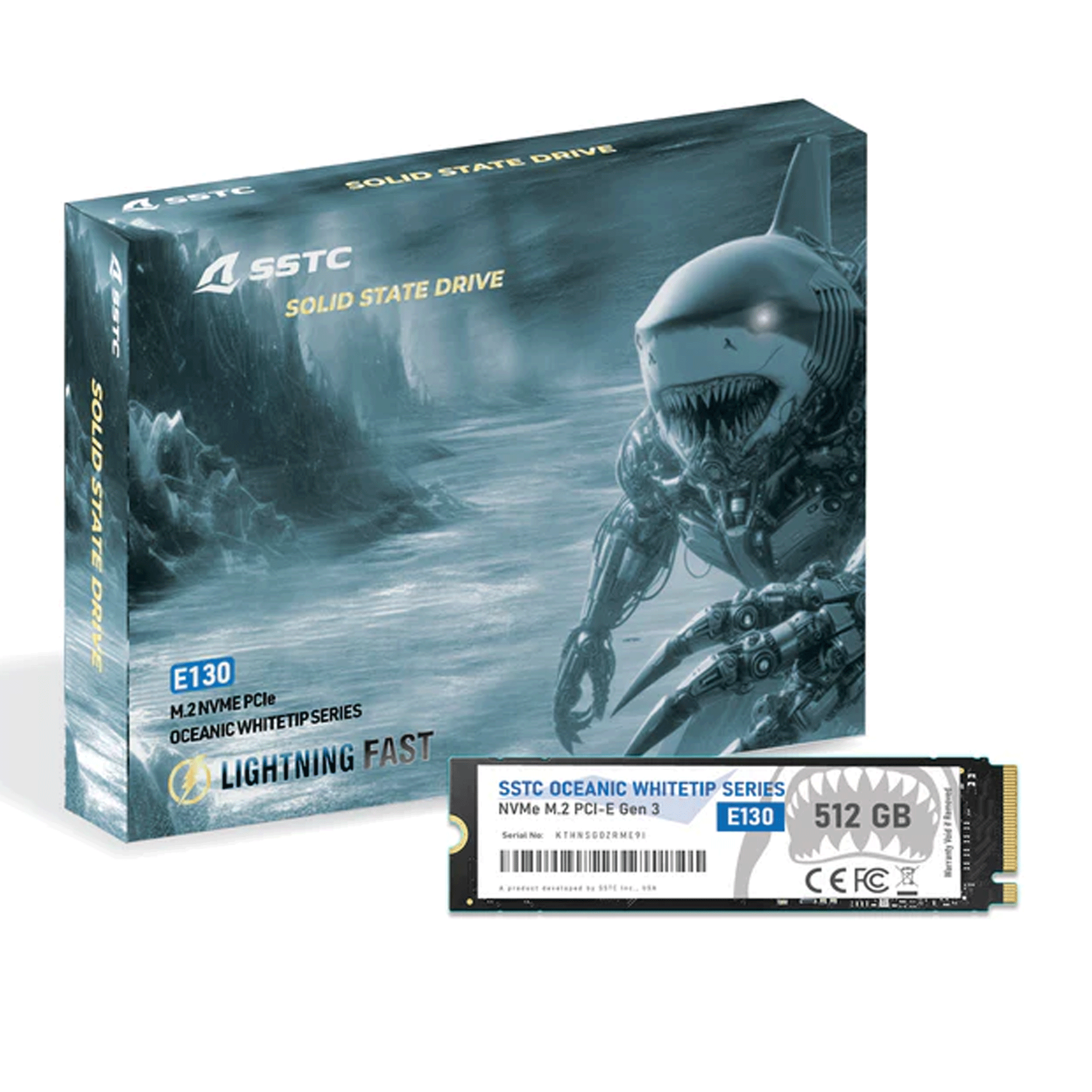 Ảnh minh họa Ổ cứng SSD SSTC E130 512GB | PCIe Gen3 x4 NVMe, M.2 2280 (E130-512GB) 1