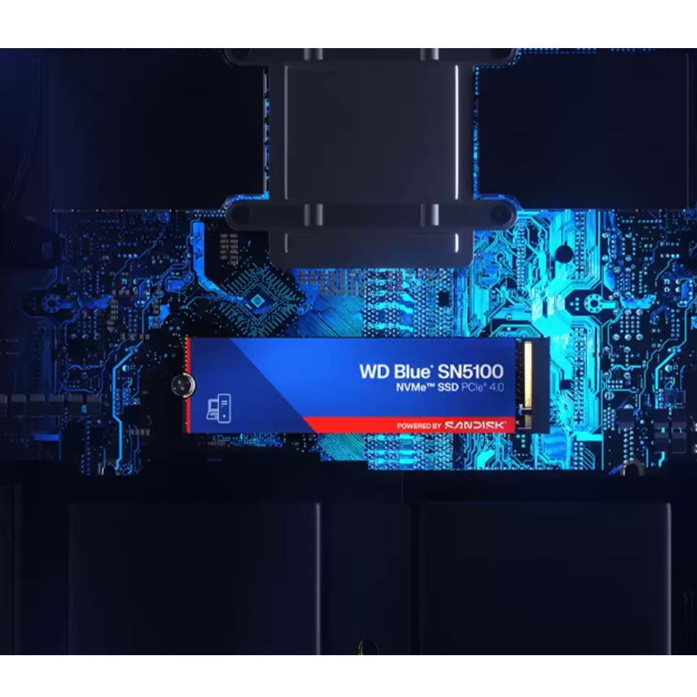 Ảnh minh họa Ổ SSD Sandisk Blue SN5100 WDS100T5B0E 1TB 3