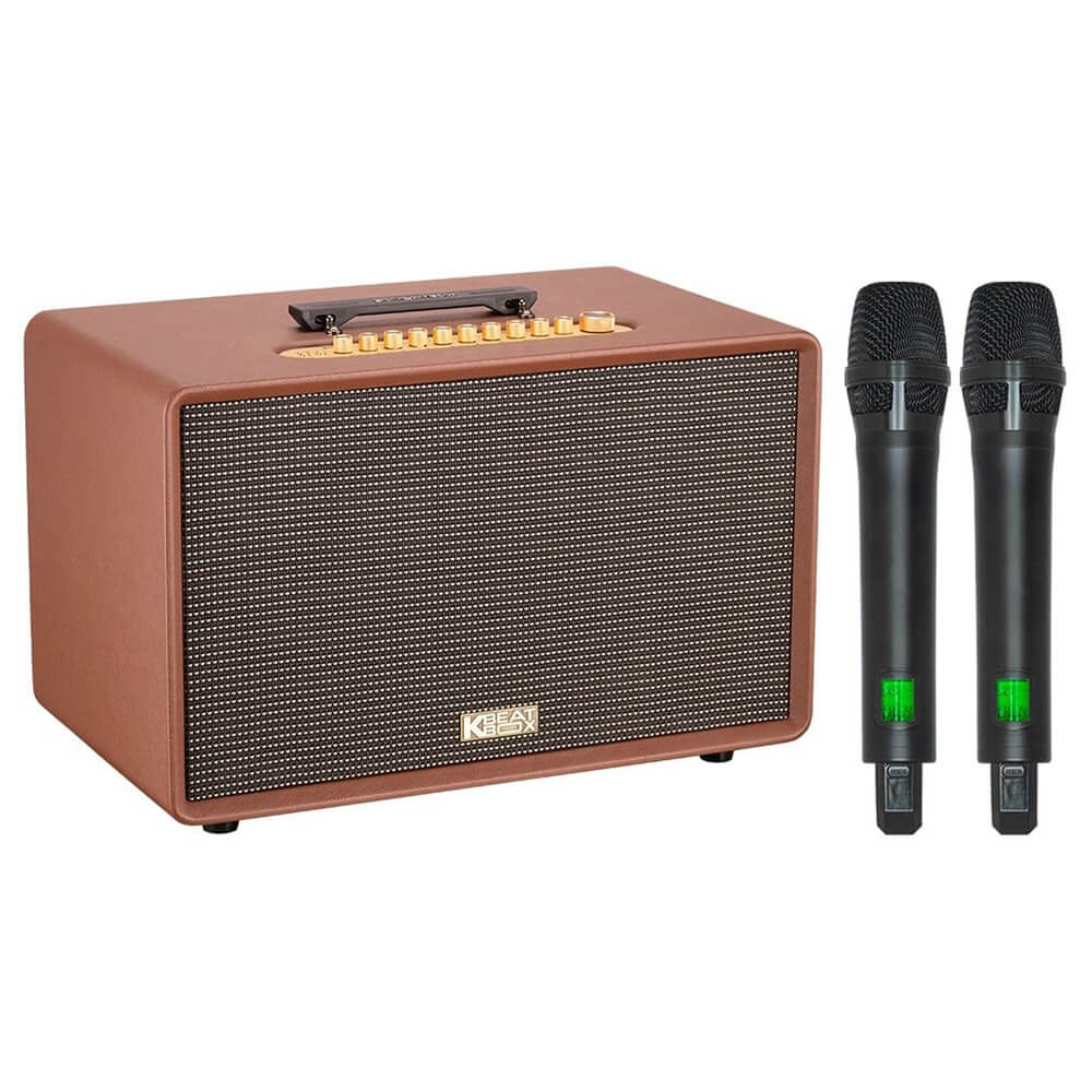 ACNOS FLAC 39 – Loa Karaoke Di Động Cao Cấp 500W RMS, 2 Chip DSP, Bass Sub 25, Kèm 2 Micro