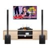 Dàn karaoke gia đình KGD272 (LD Systems MAUI 28 G3)