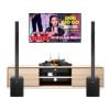 Dàn karaoke gia đình KGD273 (LD Systems MAUI 28 G3)