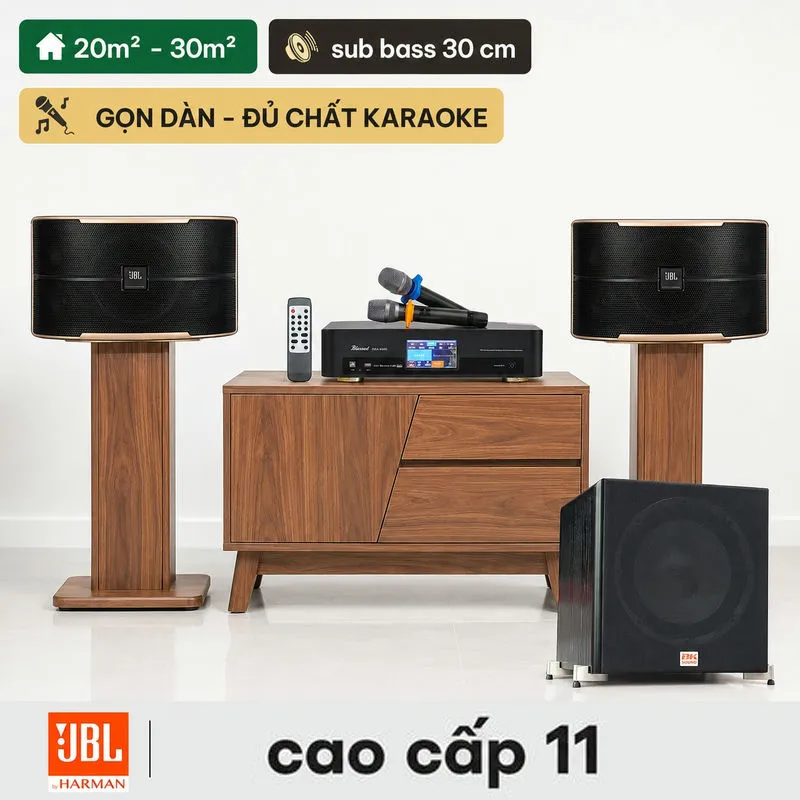 Ảnh minh họa Dàn karaoke JBL cao cấp 11 (JBL Pasion 10, BKSound DKA 6500, Sub BKSound SW512B) 1