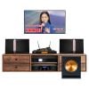Dàn Karaoke JBL KH211 (JBL Ki510)
