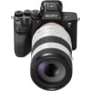 Ảnh minh họa Ống kính FE 70–200 MM F4 MACRO G OSS Ⅱ 3