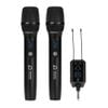 Micro Echo DBacoustic M2 Premium