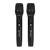 Micro Echo DBacoustic M2 Premium