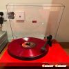 Đầu Đĩa Than Pro-Ject Debut Carbon Evo, Hộp mực MM Ortofon 2M Red, RCA