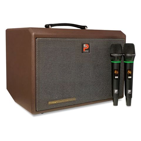Prosing DSP-236X – Loa Di Động Bass 20 (480W) Kèm 2 Micro