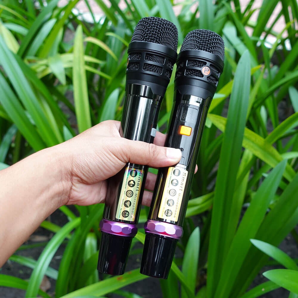 Ảnh minh họa ProSing PS-909 – Loa Karaoke Di Động Xách Tay 300W, 2 Micro 3