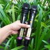 ProSing PS-909 – Loa Karaoke Di Động Xách Tay 300W, 2 Micro
