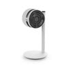 Quạt đối lưu Boneco F120
