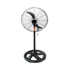 Quạt đứng CN Asiavina - D24001-DV0