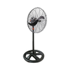 Quạt đứng CN Asiavina - D24001-DV0