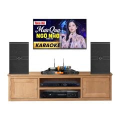  Dàn karaoke gia đình HDR150 (Wharfedale ANGLO E312) 