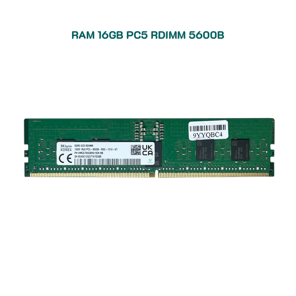 RAM 16GB Registered ECC RDIMM DDR5 5600 Mixed