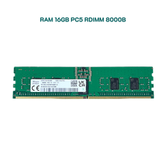  RAM 16GB Registered ECC RDIMM DDR5 8000 Mixed 