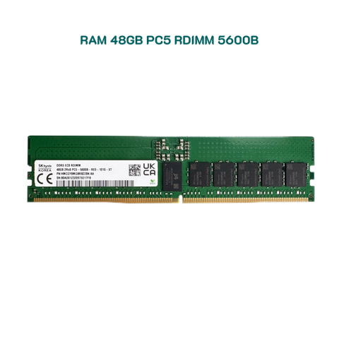 RAM 48GB Registered ECC RDIMM DDR5 5600 Mixed