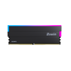 Ram Biwin Black Opal DW100 16GB RGB 6000 CL28 Expo / XMP (16 GB x 1) 