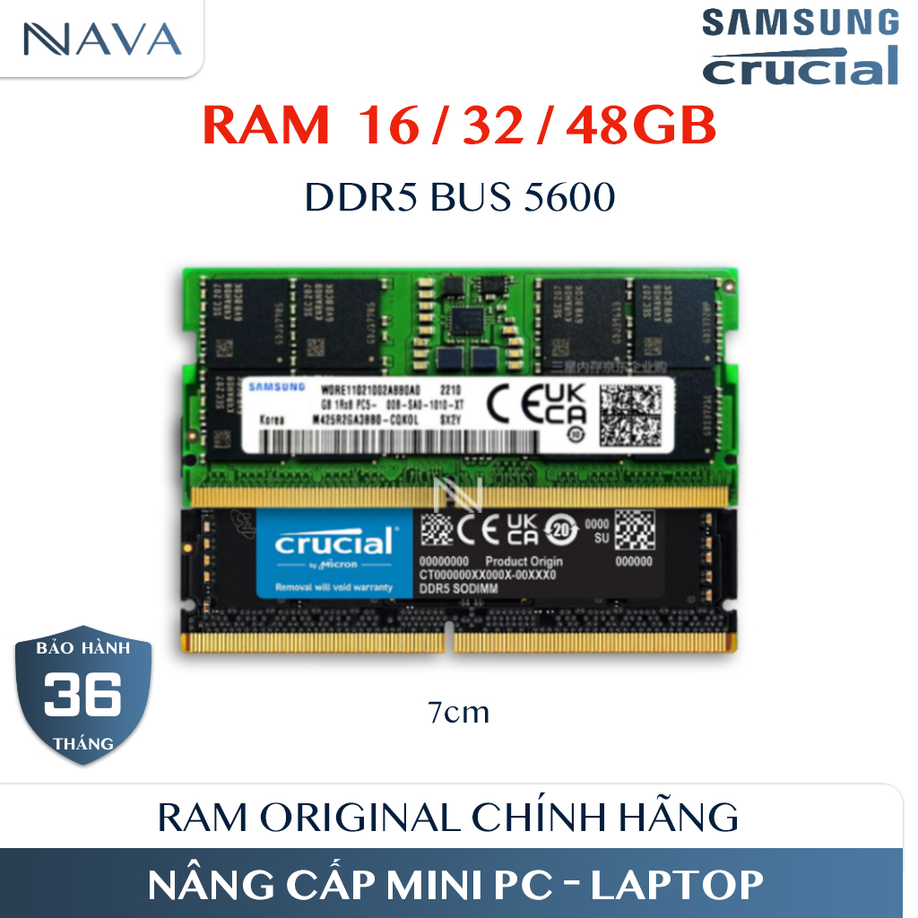 RAM DDR5 Single