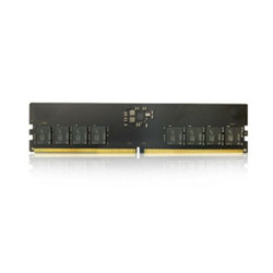 Ảnh minh họa Ram PC Kingmax 8GB DDR5 bus 5600 1