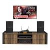 Dàn Karaoke Cao Cấp HDR49 (Whafedale Anglo E10)
