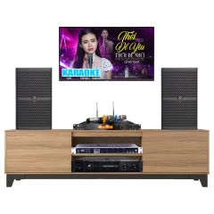  Dàn karaoke gia đình HDR101 (Wharfedale WH10 Pro) 