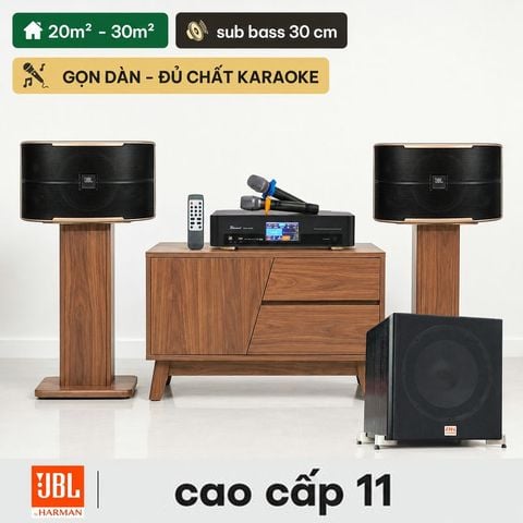 Dàn karaoke JBL cao cấp 11 (JBL Pasion 10)