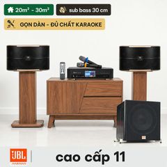  Dàn karaoke JBL cao cấp 11 (JBL Pasion 10) 