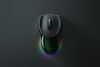 Razer Boomslang 20th Anniversary Edition (Số lượng giới hạn toàn cầu)