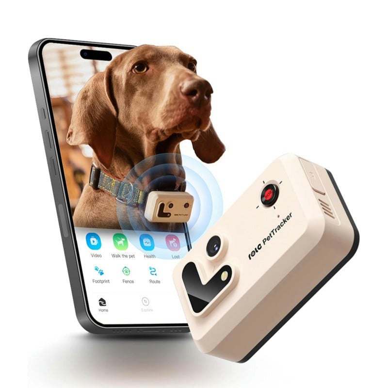 Ảnh minh họa Robot định vị thú cưng Enabot ROLA PetTracker 1