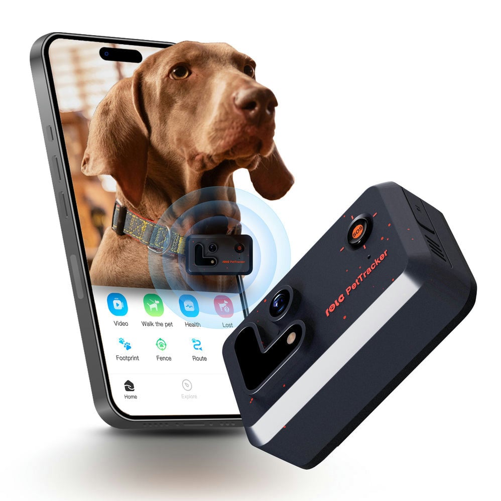Ảnh minh họa Robot định vị thú cưng Enabot ROLA PetTracker 2