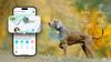 Robot định vị thú cưng Enabot ROLA PetTracker