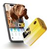 Robot định vị thú cưng Enabot ROLA PetTracker