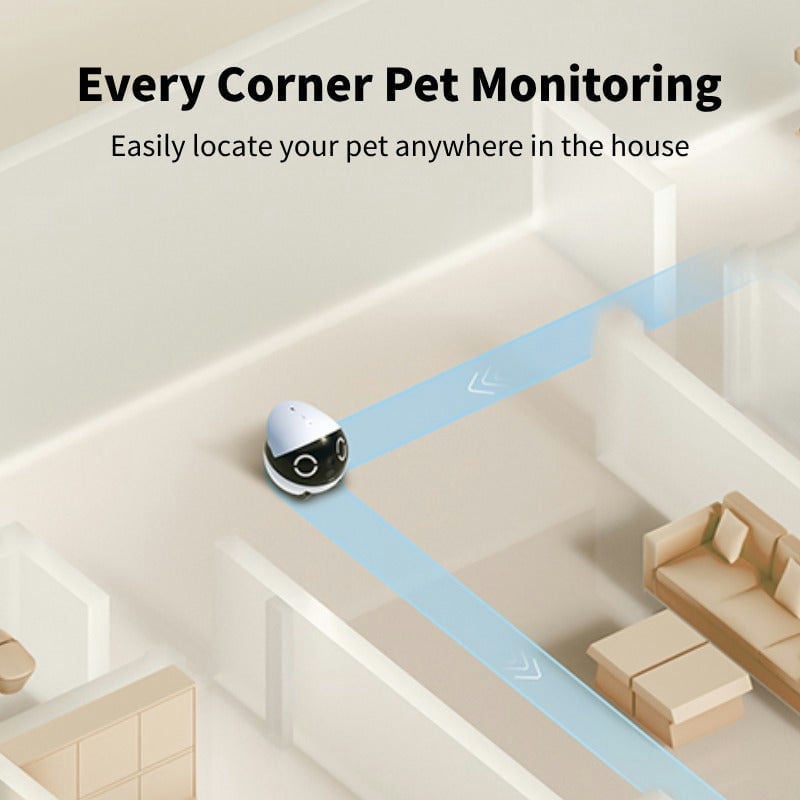 Ảnh minh họa Robot Enabot Rola Mini Familybot 3