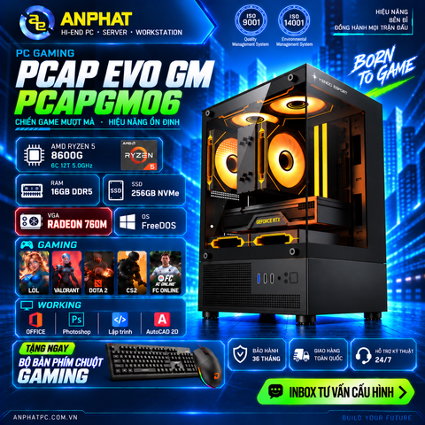 PC GAMING PCAP EVO GM STARTER RADEON 760M / AMD Ryzen 5 8600G / RAM