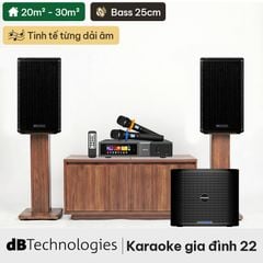  Dàn karaoke gia đình dBTechnologies 22 (dBTechnologies LVX P10) 