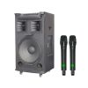Loa Acnos TOP 530 MAX (Bass 50cm)
