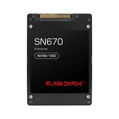  SANDISK SN670 NVMe™ SSD 122.88 TB (SN670U2015123TISG) 