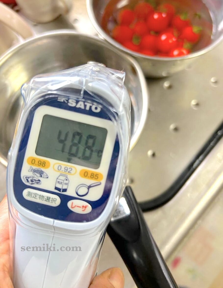 Ảnh minh họa SATO SK-8920 nhiệt kế hồng ngoại đo nhiệt độ thực phẩm (−40 ~ 250°C) 1