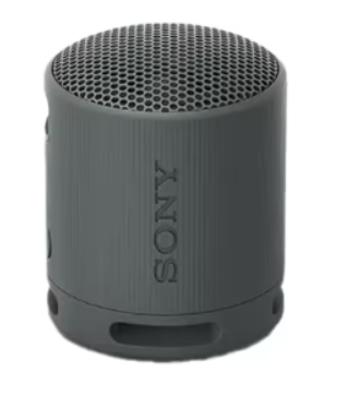 Loa Bluetooth Sony XB100