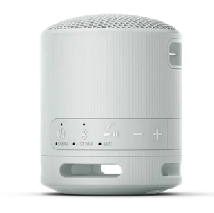 Loa Bluetooth Sony SRS-XB100/BCE (Xám)