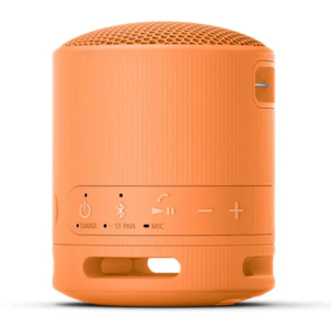 Loa Bluetooth Sony SRS-XB100/BCE (Cam)