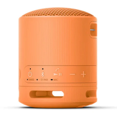  Loa Bluetooth Sony SRS-XB100/BCE (Cam) 