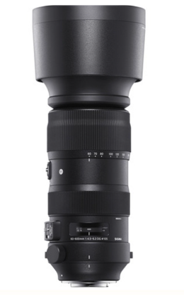 Sigma 60-600mm f/4.5-6.3 DG OS HSM Sports cho Nikon