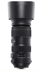  Sigma 60-600mm f/4.5-6.3 DG OS HSM Sports cho Nikon 