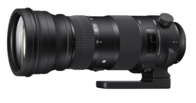 Sigma 150-600mm F5-6.3 DG OS HSM Sports